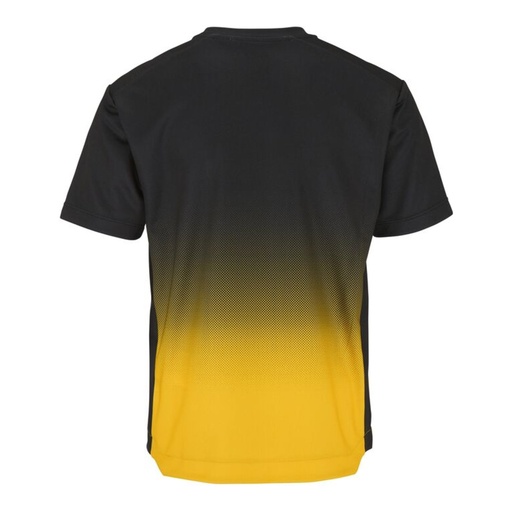 T-shirt Evolve 2.0 Structured Graphic junior – Craft 1915640