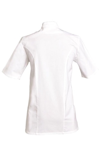 Veste de cuisine mixte manches courtes à pressions Michel coton – SNV MICCB002