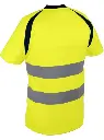 g_SUZE_2.webp
