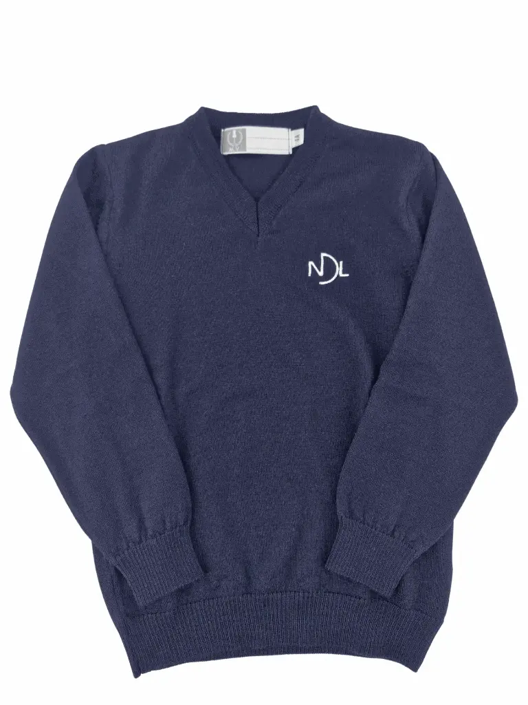 Pull V mérinos Harry NDL