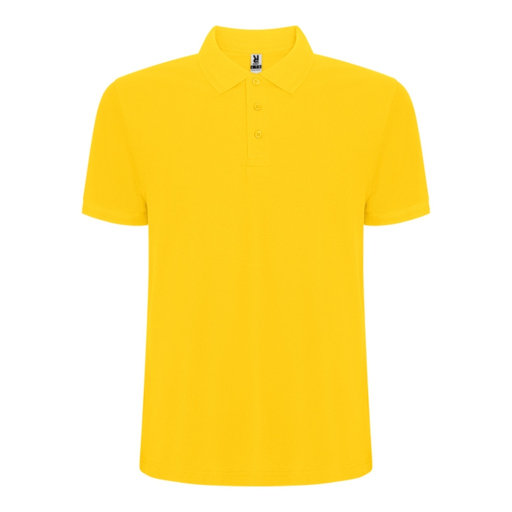 Polo à manches courtes avec traitement anti-boulochage Pegaso Premium – Roly PO6609