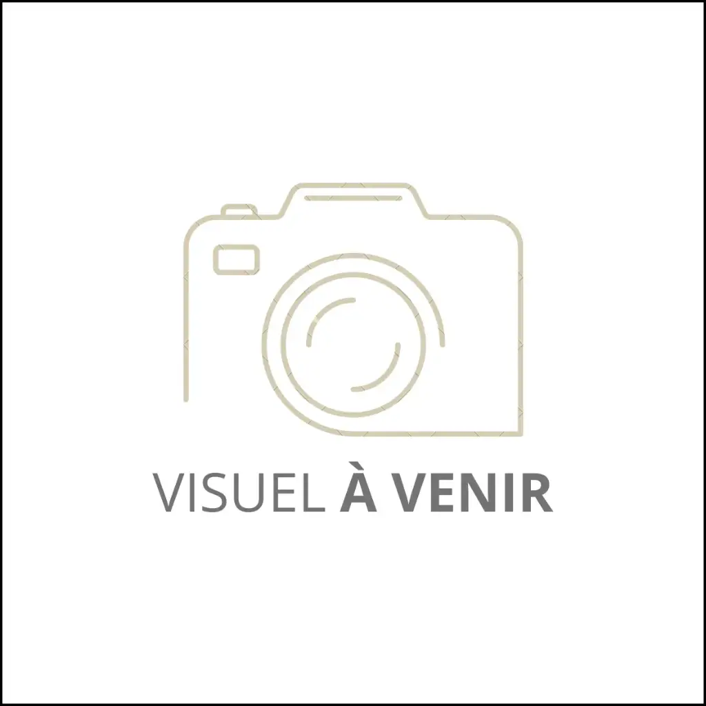 Polo Théo manches longues NDL (copie)