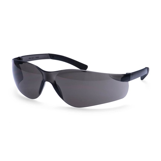 Lunettes Pan View – Portwest PW38