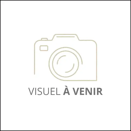 Polo Théo manches longues NDL (copie)