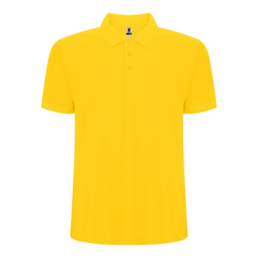 Polo à manches courtes avec traitement anti-boulochage Pegaso Premium – Roly PO6609