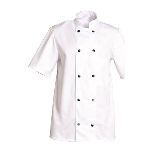 Veste de cuisine mixte manches courtes à pressions Fabrice polycoton – SNV FABCC006